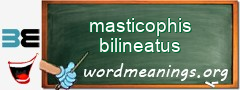 WordMeaning blackboard for masticophis bilineatus